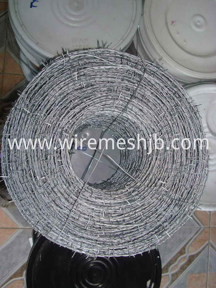 Galvanized Barbed Wire Fencing